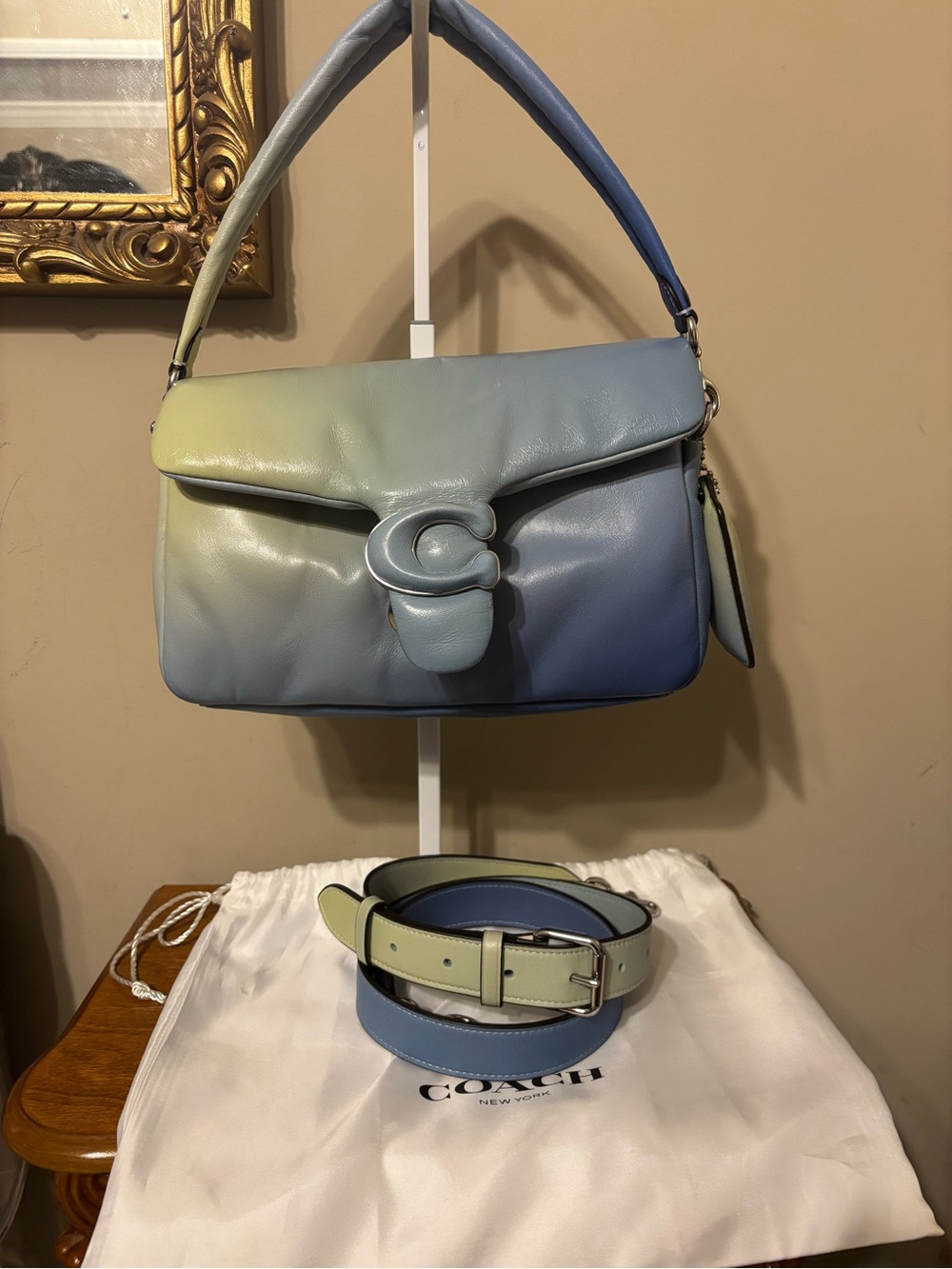 Coach Ombre Leather Shoulder Bag in Blue and Green Gradient
